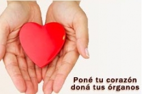 Día Nacional de la Donación de Órganos